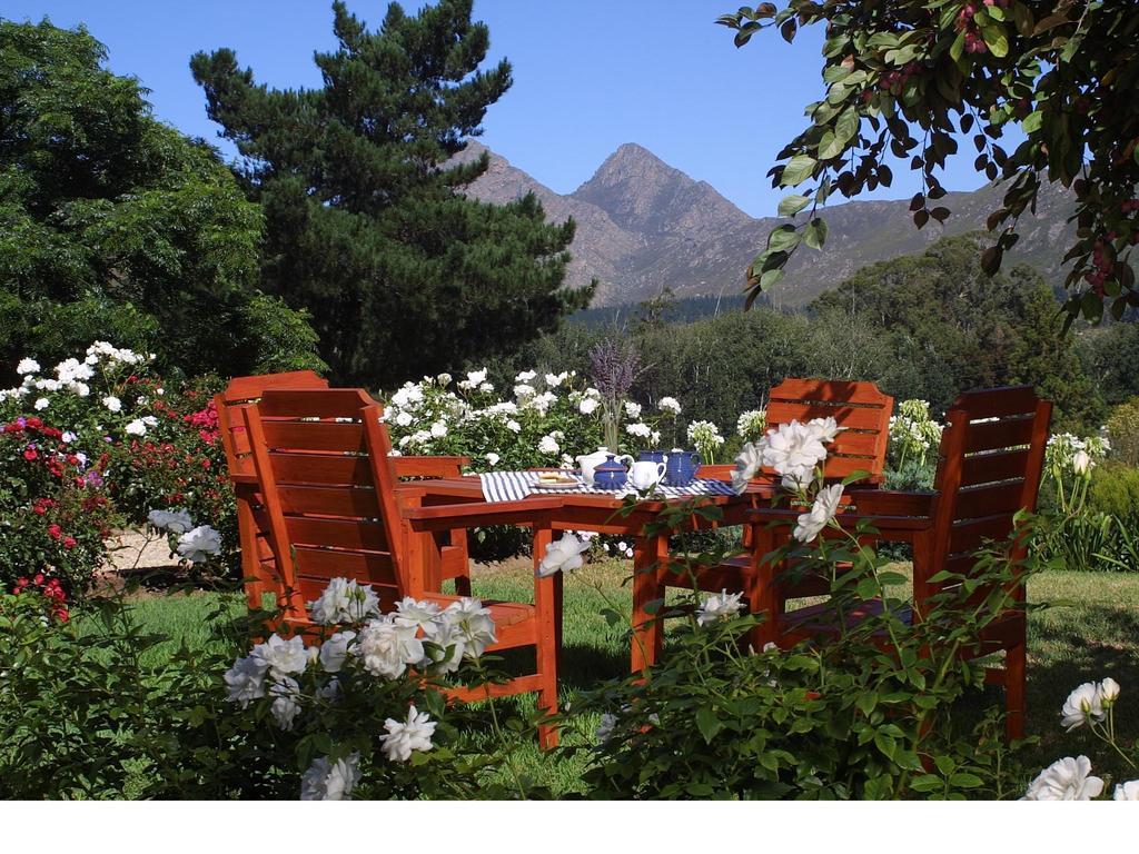 Over The Mountain Guest Farm Джордж Екстериор снимка