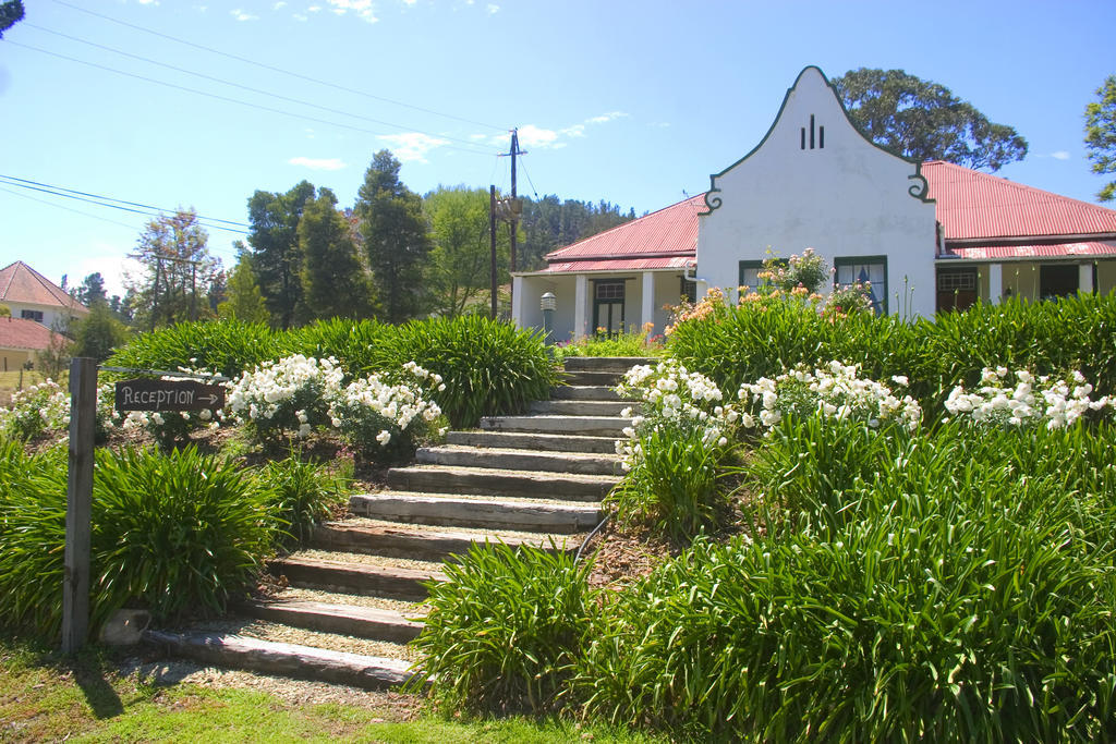 Over The Mountain Guest Farm Джордж Екстериор снимка