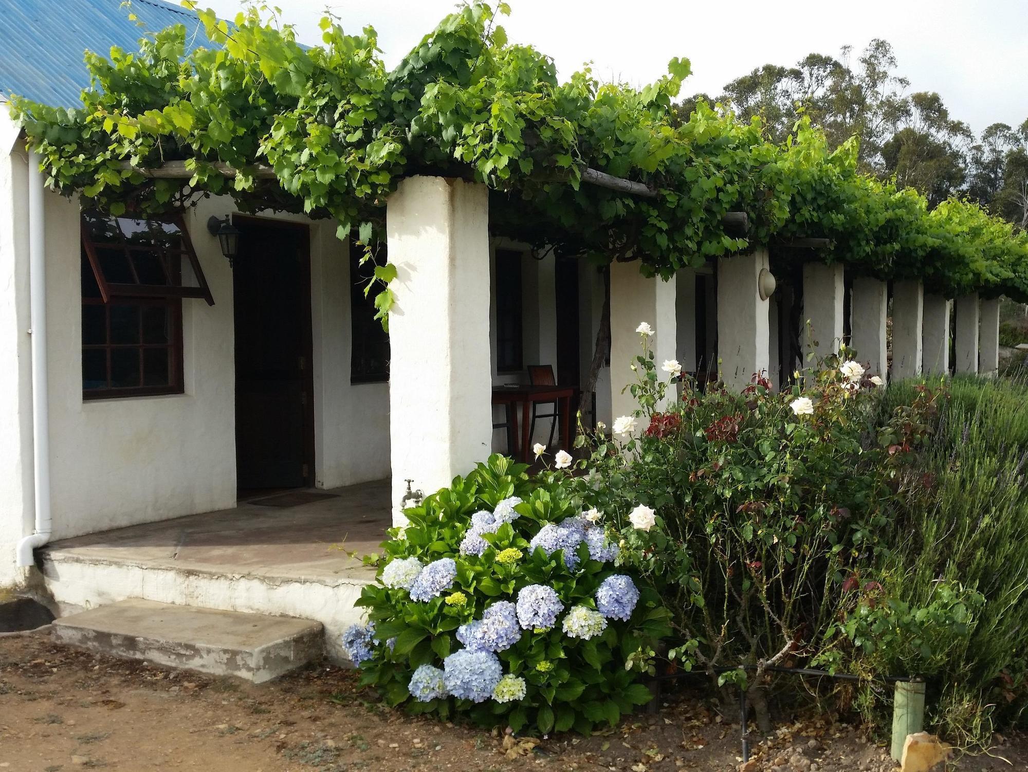 Over The Mountain Guest Farm Джордж Екстериор снимка